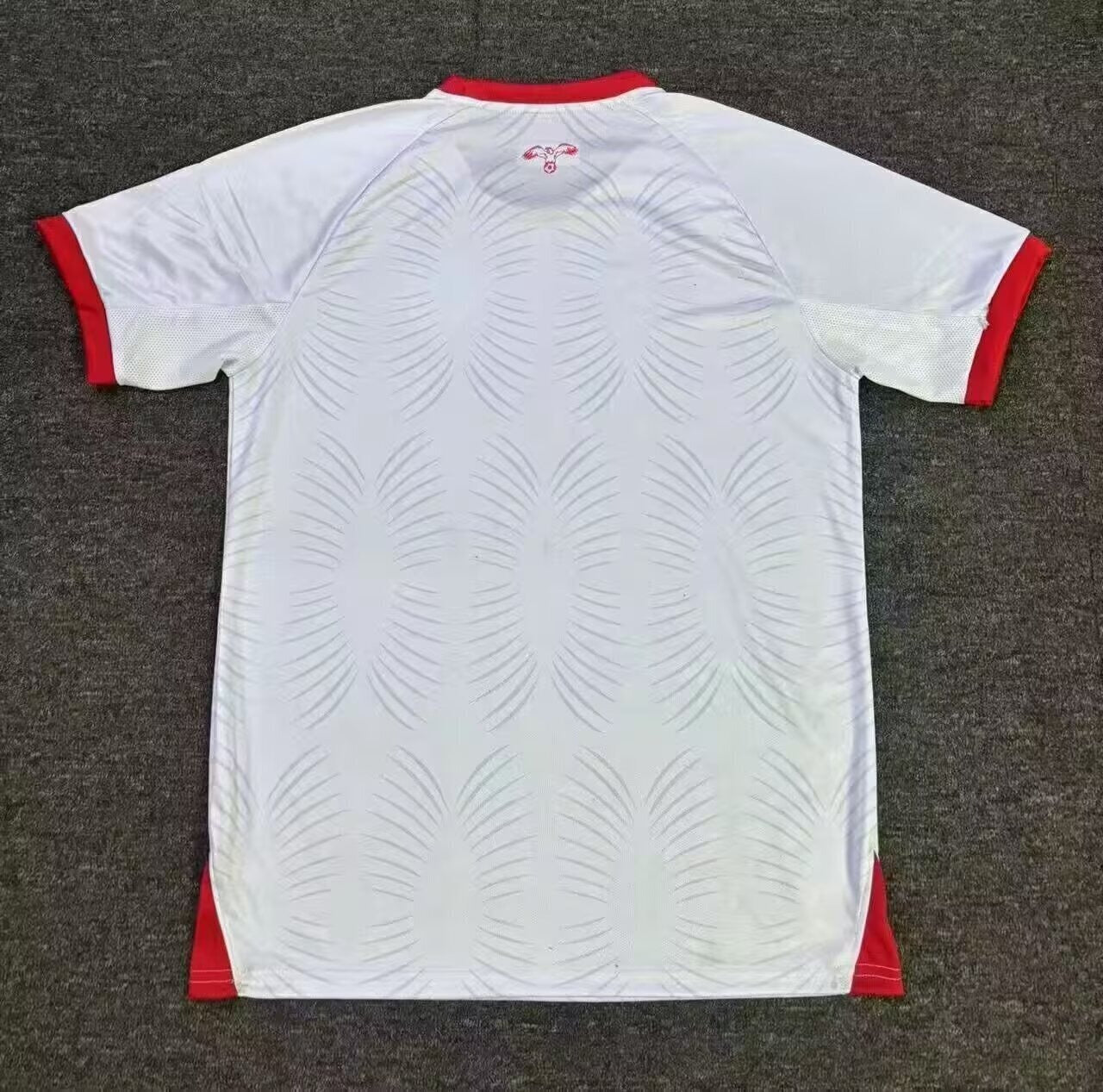 WC26 - Jordan - Home