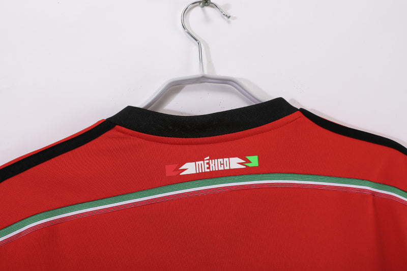 2014 Mexico #1
