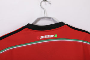 2014 Mexico #1