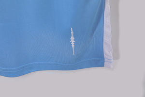 2011 Manchester City #1