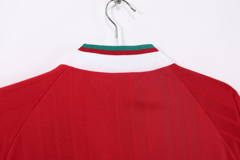 Long sleeves: Liverpool home 3B 1993/95 #1