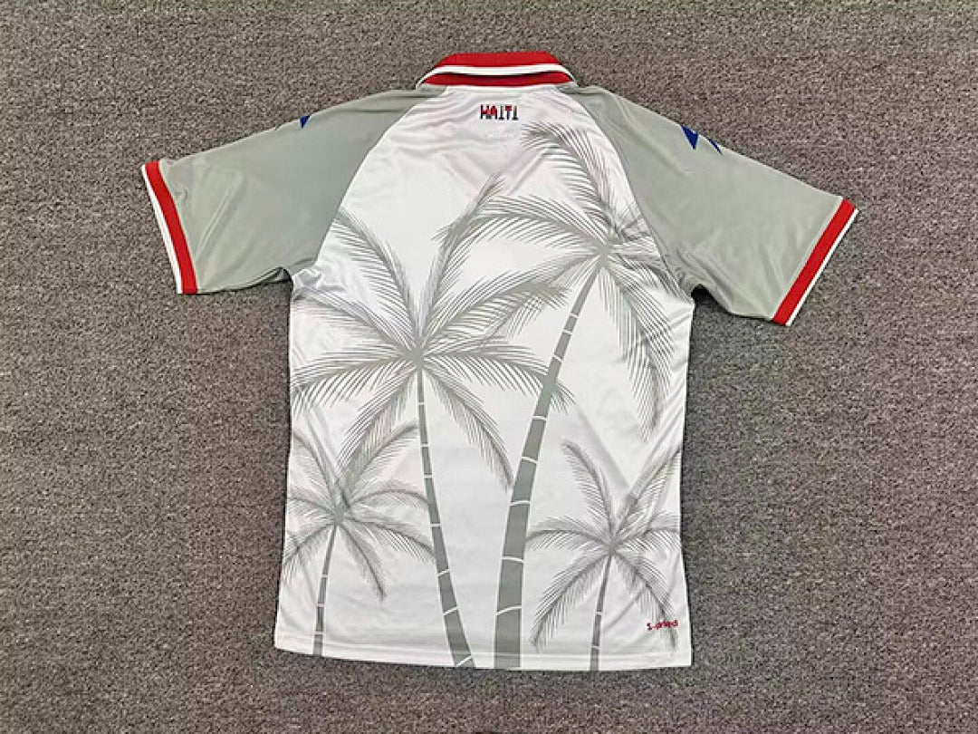 WC26 - Haiti - Away