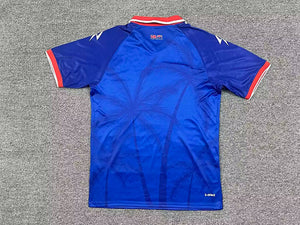 WC26 - Haiti - Home
