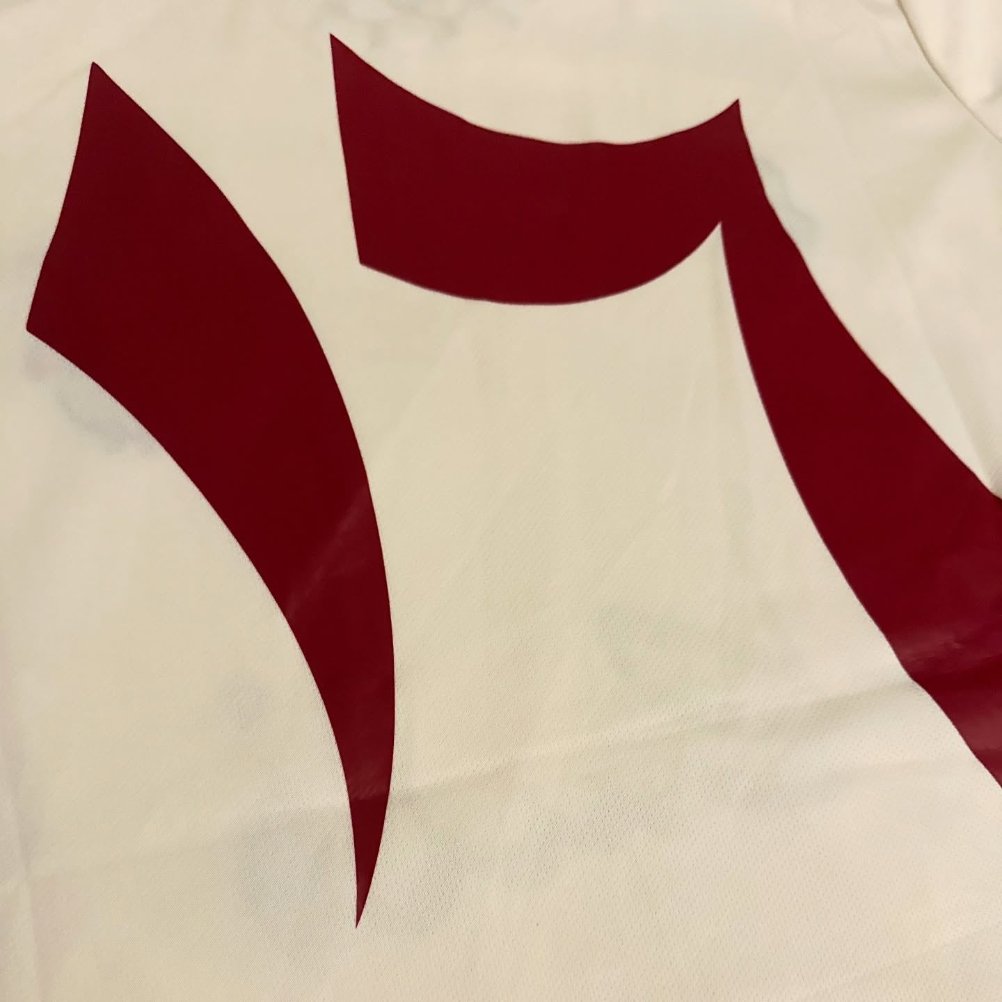 Palestine x Paliroots - 25/26 White Edition